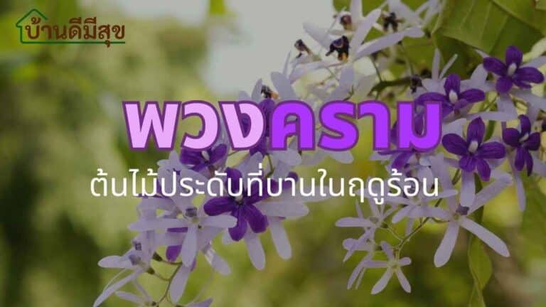 พวงคราม